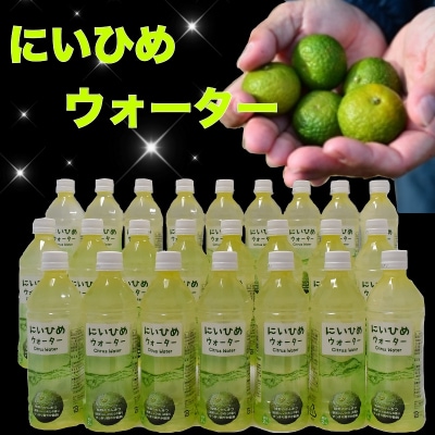 乾いたカラダを潤す♪　にいひめウォーター　510ml×24本入