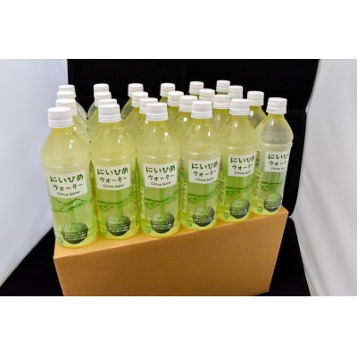 乾いたカラダを潤す♪　にいひめウォーター　510ml×24本入