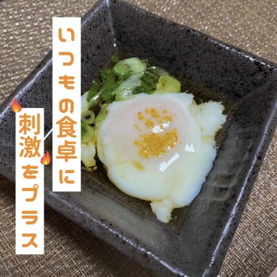 【テレビで紹介されました】熊野唐辛子ギフト18 一味唐辛子(黄とうがらし・プリッキーヌ)+生唐辛子