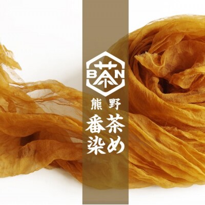 熊野番茶染め　Tシャツ　金茶色(チタン媒染)(XLサイズ)