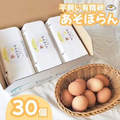 平飼い有精卵(あそぼらん) 30個