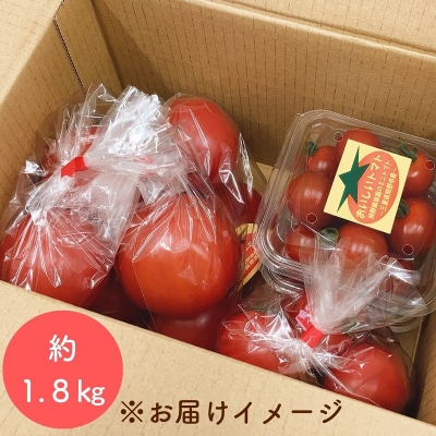 熊野薬草園のトマトMIX(1.8kg) ミックス お楽しみ
