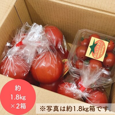 熊野薬草園のトマトMIX(1.8kg×2箱) 