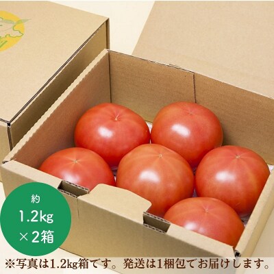熊野薬草園の大玉トマト(1.2kg×2箱)