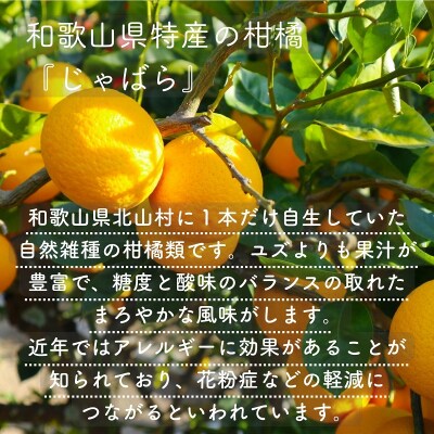 砂糖不使用じゃばらマーマレード(140g×2本)