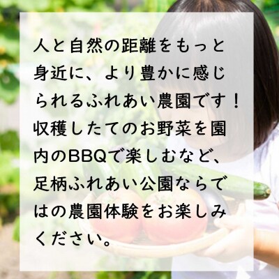足柄ふれあい公園　体験農園　スタンダード農園プラン(12か月)