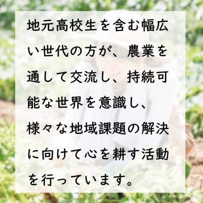 足柄ふれあい公園　体験農園　みんなの畑・おやま協賛プラン