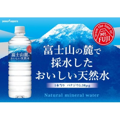 【定期便3か月コース】富士山麓のおいしい天然水590ml×24本入【北海道・沖縄・離島　配送】