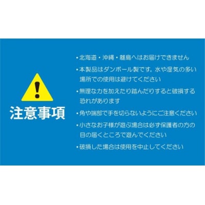 自分だけのダンボールハウス