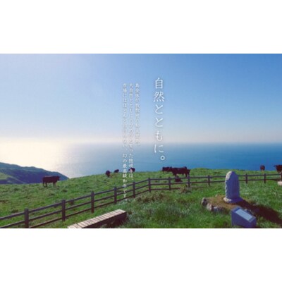 【隠岐牛プレミアム生ハンバーグ 6個】900g 天然塩付 島生まれ島育ちのブランド黒毛和牛 隠岐牛