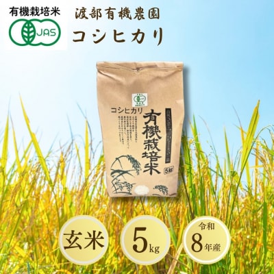 コシヒカリ 玄米 5kg JAS有機米 令和8年産 cn001-ai