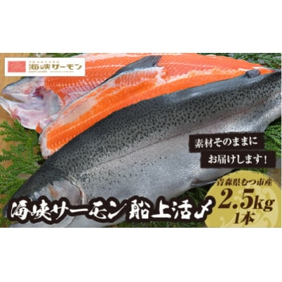 【期間限定発送】海峡サーモン船上活〆2.5kg1本(冷蔵)