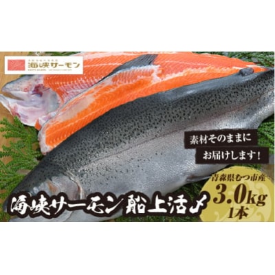 【期間限定発送】海峡サーモン船上活〆3.0kg1本 (冷蔵)