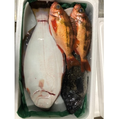 【3月発送開始】おさかなマイスター厳選　冬の魚介類BOX　(S)