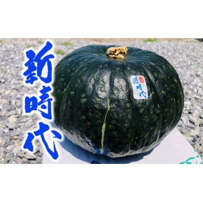 「新時代」かぼちゃ　2玉(1玉あたり 2kg前後)