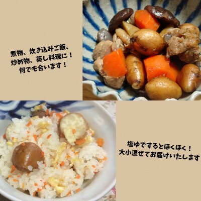 スーパーフード 糖度30度あま～いアピオス(生) 1kg