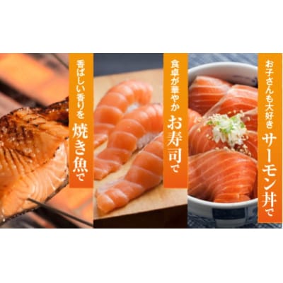 【期間限定発送】活〆海峡サーモン　お刺身さくと生切身A(冷蔵)　特製漬タレ付