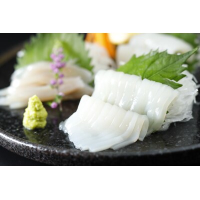 青森県産スルメイカ刺身240g(120g×2パック)