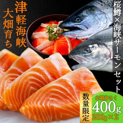 津軽海峡 大畑産海峡サーモンと桜鱒 お刺身さく食べ比べセ…