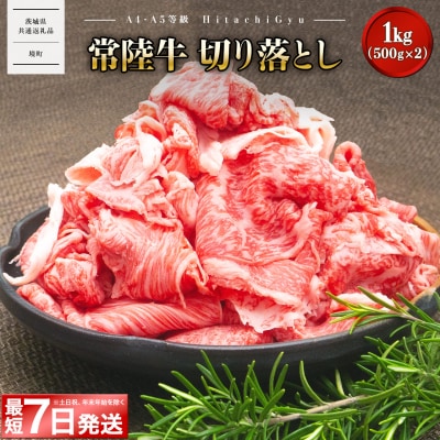 【茨城県共通返礼品】〈最短7日発送〉【A5・A4等級】常陸牛 切り落とし 1000g