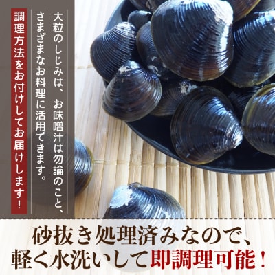津軽十三湖産 大粒しじみ800g(冷凍・砂抜き済)