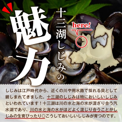 道の駅十三湖高原 十三湖しじみラーメン 一人前×4袋