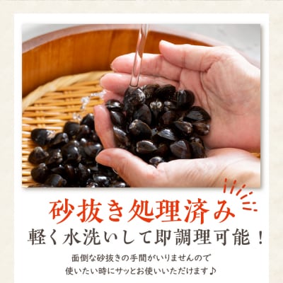 十三湖産 大和しじみ(中貝)4kg(冷凍・砂抜き済)