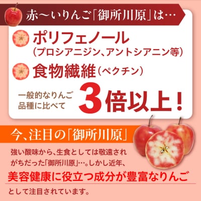 AKARIN5プロテオグリカンサプリメント 45粒 15日分 りんご サプリ プロテオグリカン