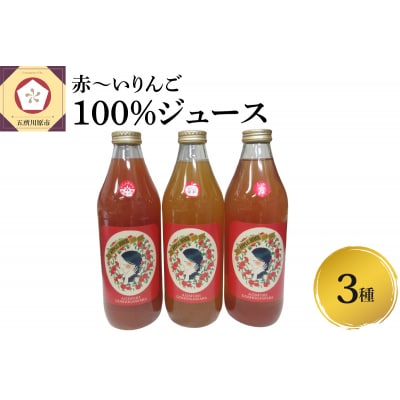 りんごジュース3種 飲み比べ 中まで赤～いりんご 1L×3本 果汁 100% ストレート