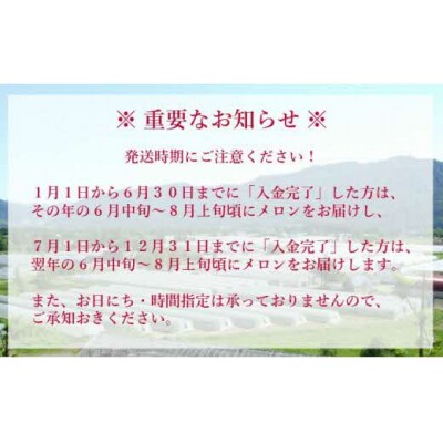 【先行予約受付中】メロン熊エコバッグと夕張メロン大箱8kg(等級:優4～6玉入り)W36