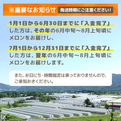 【先行予約受付中】夕張メロン2玉(糖度11%以上　等級:優) N2