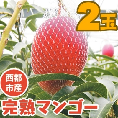 【先行受付】『2L×2玉』西都市産完熟マンゴー2玉[2641]
