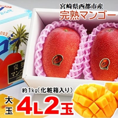 【大玉4L×2玉】約1kg糖度12度以上(JA西都)完熟マンゴー西都産【先行受付】[1009]