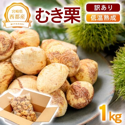 【訳あり】宮崎県西都市産　低温熟成生栗(むき栗)1kg【先行受付】 [3113]