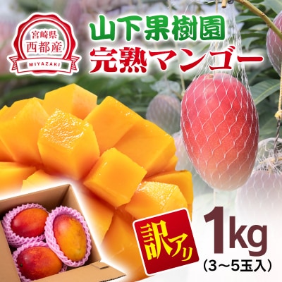 山下果樹園完熟マンゴー1kg(ご家庭用・訳あり)宮崎県産完熟マンゴー西都市産【先行受付】[2699]