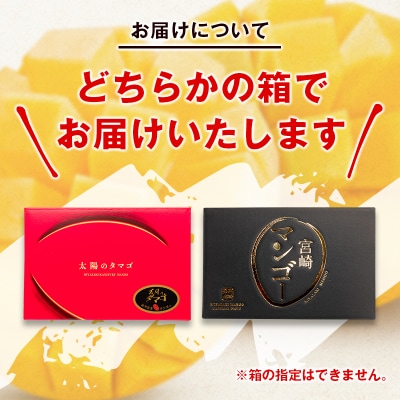 西都市特産品 太陽のタマゴ2L×2個  宮崎県産完熟マンゴー【先行受付】[1905]