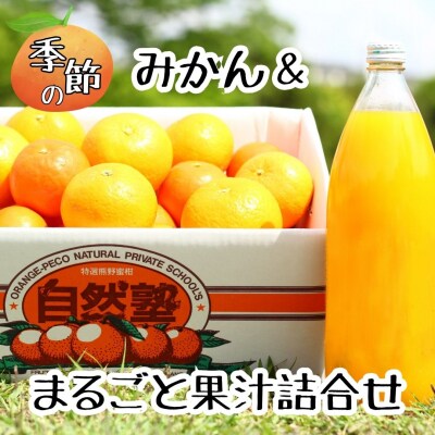 4自然塾　みかん&まるごと果汁詰合せ【1回】