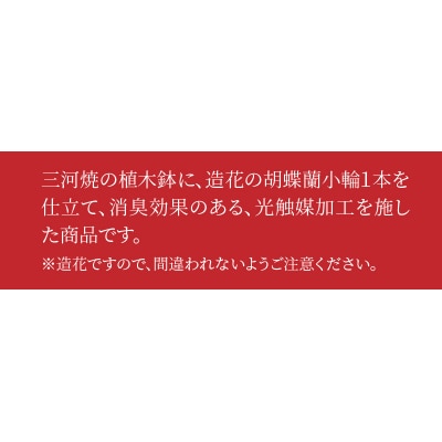 綺麗で丈夫な三河陶器で贈る光触媒胡蝶蘭小輪5本立(白の陶器×白色の花)H100-102