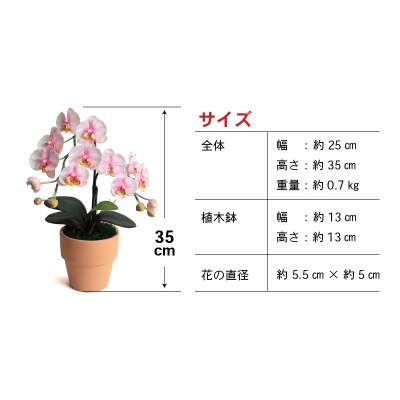 綺麗で丈夫な三河陶器で贈る光触媒胡蝶蘭小輪1本立(ピンクの陶器×桃色の花)H100-104