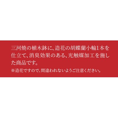 綺麗で丈夫な三河陶器で贈る光触媒胡蝶蘭小輪1本立(モカの陶器×ピンクの花)H100-105