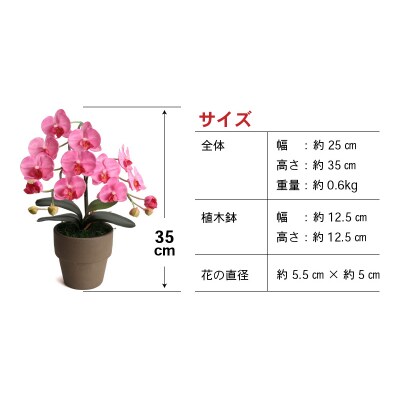 綺麗で丈夫な三河陶器で贈る光触媒胡蝶蘭小輪1本立(モカの陶器×ピンクの花)H100-105