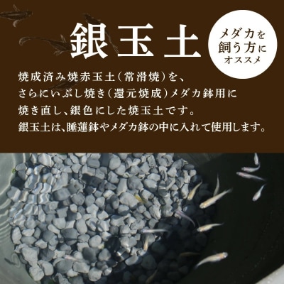 銀玉土1リットル めだか鉢 金魚鉢 メダカ 鉢 陶器 睡蓮 多孔質土　H100-107