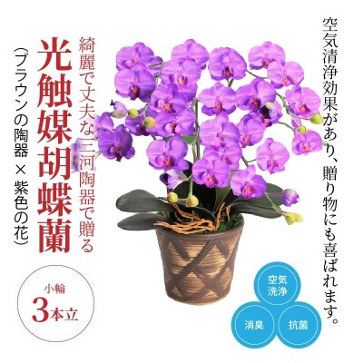 綺麗で丈夫な三河陶器で贈る光触媒胡蝶蘭小輪3本立(ブラウンの陶器×紫色の花)　H100-110