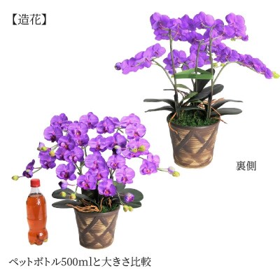 綺麗で丈夫な三河陶器で贈る光触媒胡蝶蘭小輪3本立(ブラウンの陶器×紫色の花)　H100-110