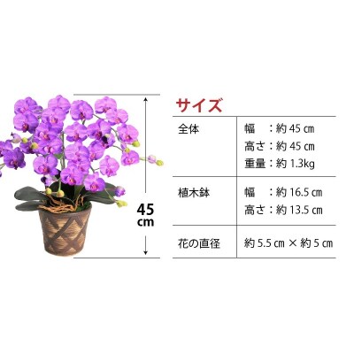 綺麗で丈夫な三河陶器で贈る光触媒胡蝶蘭小輪3本立(ブラウンの陶器×紫色の花)　H100-110
