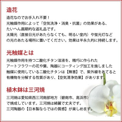 綺麗で丈夫な三河陶器で贈る光触媒胡蝶蘭大輪5本立(白釉薬の陶器×桃色の花)　H100-118