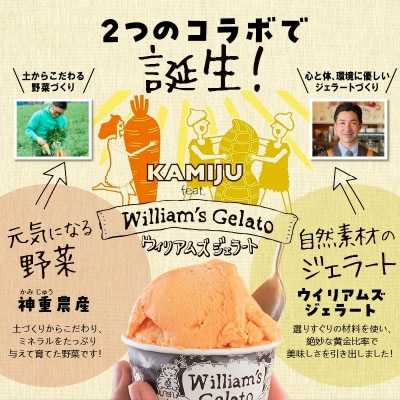 【3種のフレーバーを食べ比べ】ジェラート10個セット映えるデザインが可愛い　H105-259