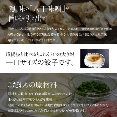 【3ヶ月定期便】居酒屋のおかあちゃん手作り ひと口味噌ぎょうざ 120個　H136-059