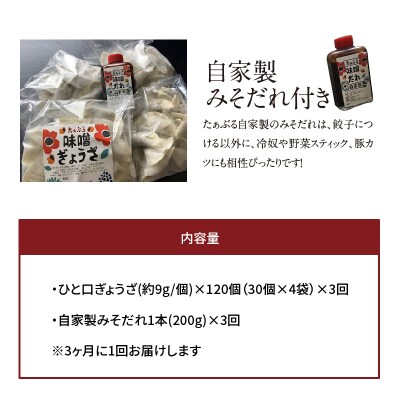 【定期便全3回】3ヶ月に1回お届け ひと口味噌ぎょうざ 120個(30個×4袋)　H136-060