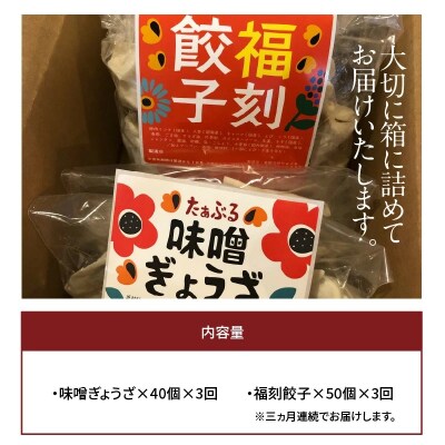 【3か月定期便】パリパリひと口ぎょうざともちもち餃子セット　合計90個　H136-063